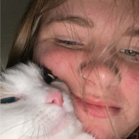 Meet your Posher, Avery - Picture 1 of 1